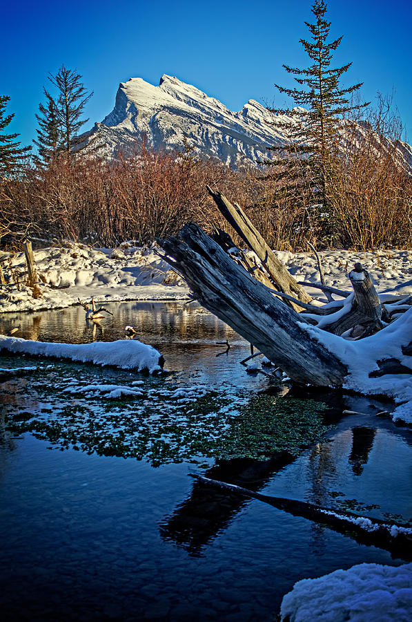 First snow Photograph by Thomas Nay