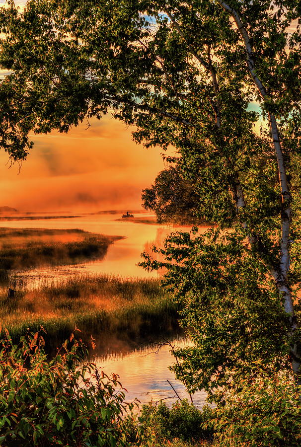 Fishing In The Fog Photograph by Dale Kauzlaric