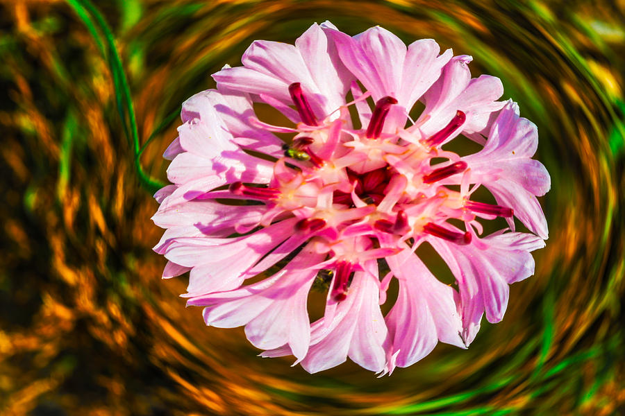 Floating in Time Painting by Omaste Witkowski