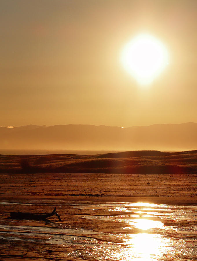 Follow the Sun Photograph by Nicholas Blackwell