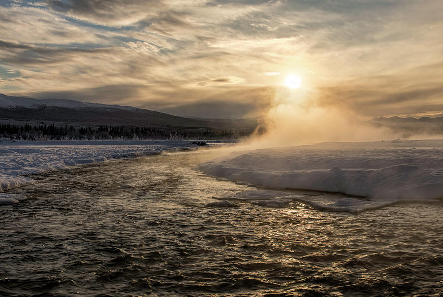 Frozen Mist Photograph by Fred Denner