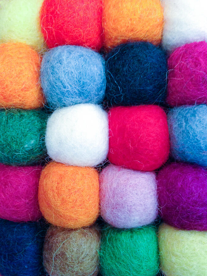 Fuzzy Wuzzies Photograph by Rick Locke - Out of the Corner of My Eye