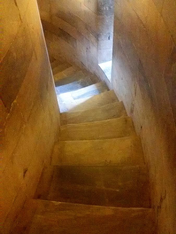 Golden echo of blue Photograph by Steven Robiner