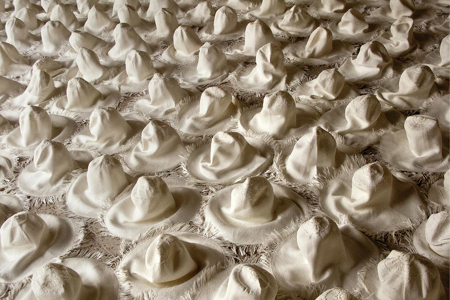 Hatscape Photograph by Marla Craven