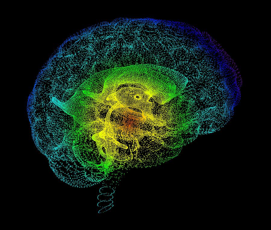 Human Brain, Conceptual Artwork by Alfred Pasieka / Science Photo Library