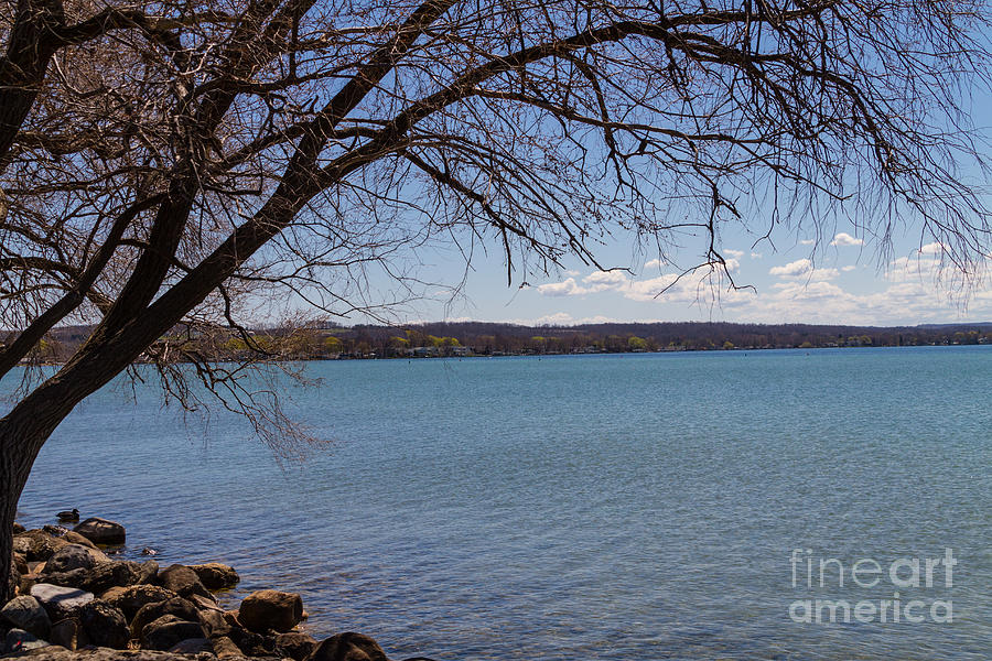 Hung Over Photograph by William Norton