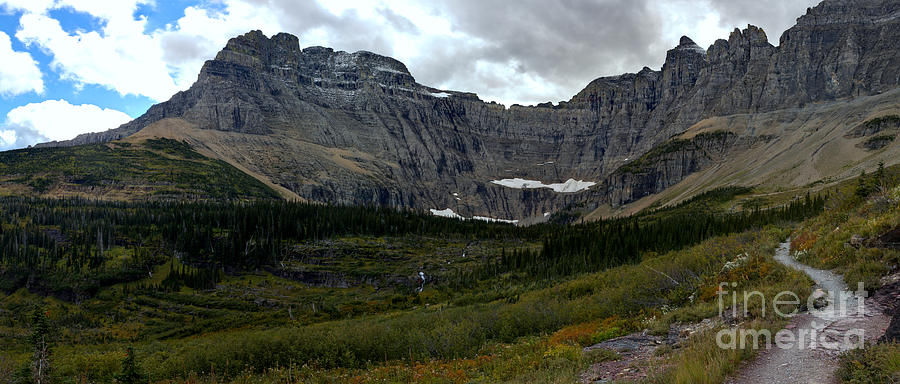 Iceberg Lake Trail Photograph by Adam Jewell