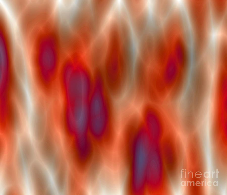 In the Flames Photograph by Onedayoneimage Photography