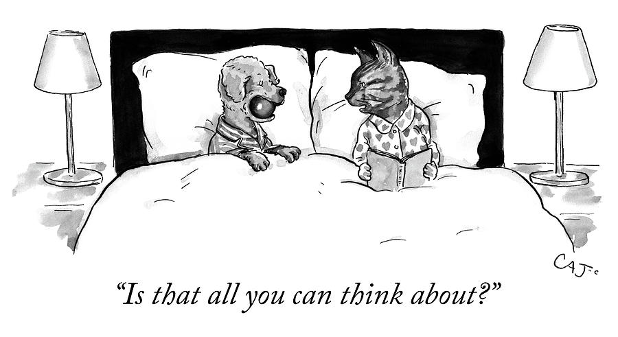 Dog and Cat in Bed Cartoon Drawing - Is that all you can think about by Carolita Johnson