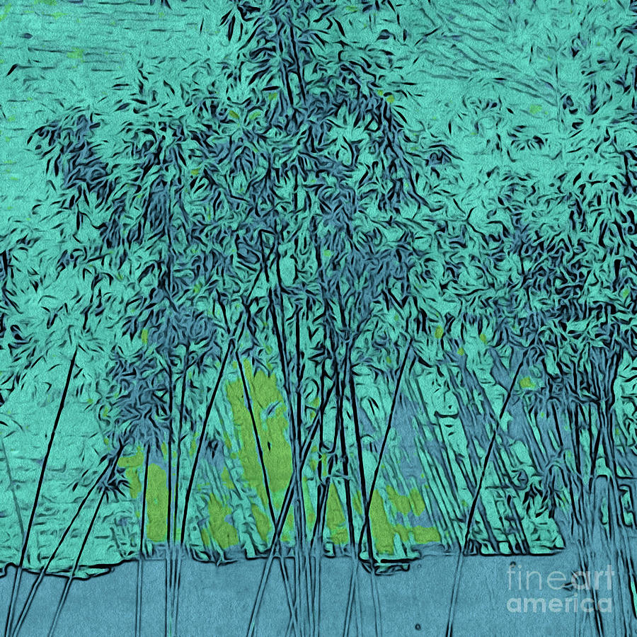 Jade Bamboo Garden Photograph by Onedayoneimage Photography