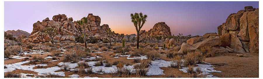 Joshua Panorama at Dusk Photograph by Kelley King