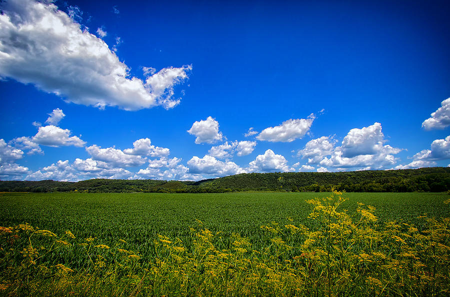Sunny Field with Fluffy Clouds Photograph - Lanesboro Fields by Bill and Linda Tiepelman
