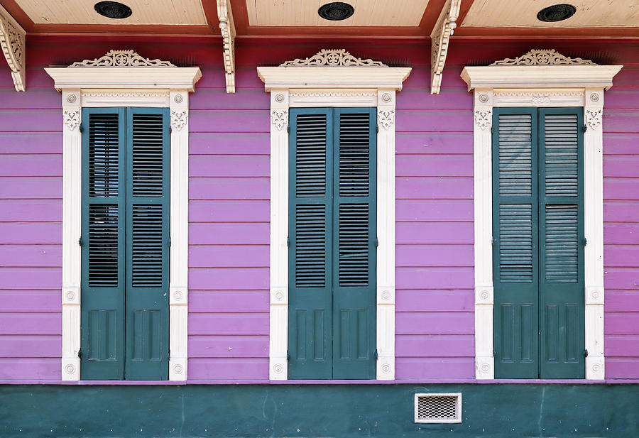 Lavender Blue Photograph by Nicholas Blackwell