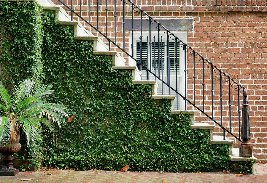 Left Ascension Photograph by Nicholas Blackwell