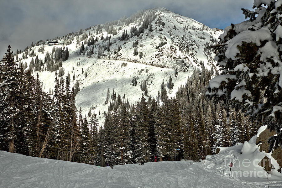 Snow-Covered Mountain and Trees Photograph - Looking Toward Clayton Peak by Adam Jewell
