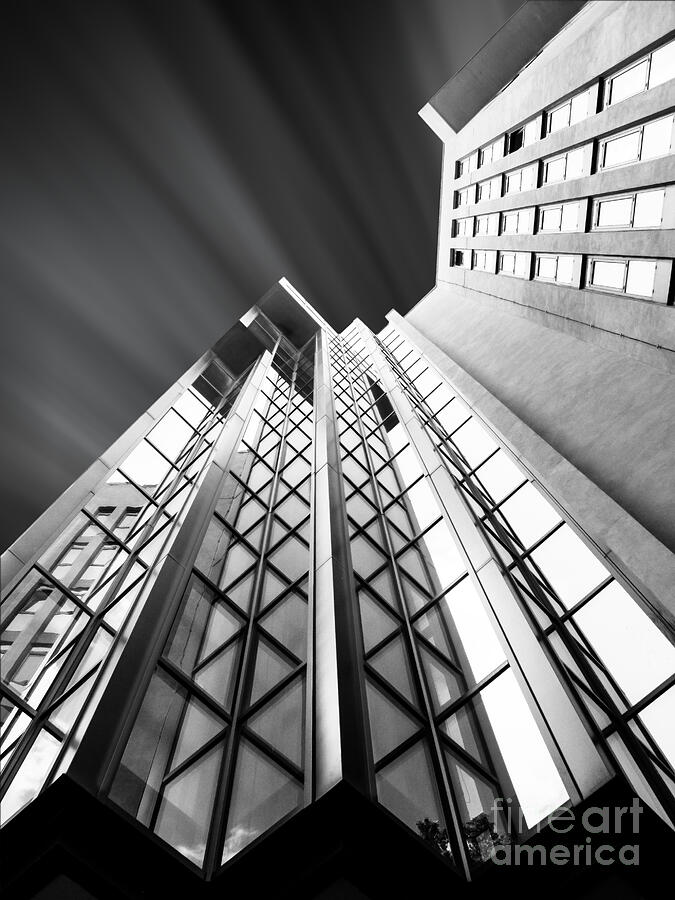 Looking Up Photograph by Stefano Senise