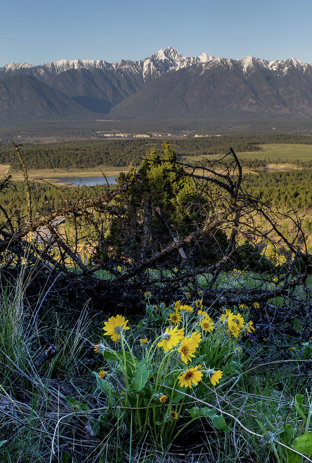 Lookout Photograph by Thomas Nay