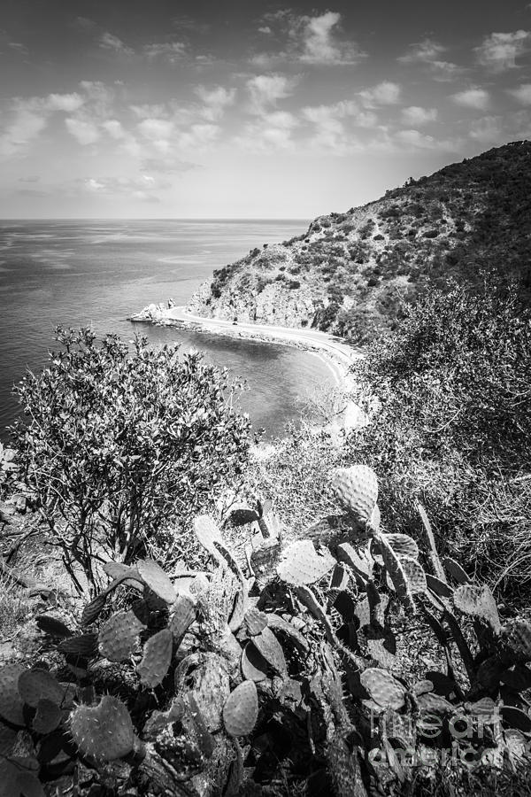 Lovers Cove Catalina Island Black and White Photo Photograph by Paul Velgos