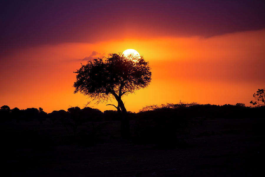 Masai Mara Sunrise Photograph by David Morefield