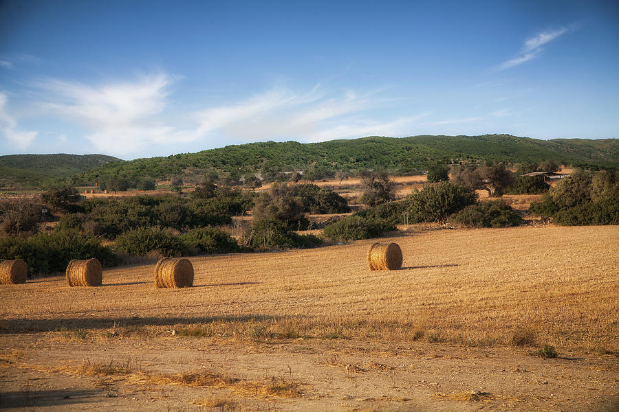 Mediterranean crop field Photograph by Al Poullis