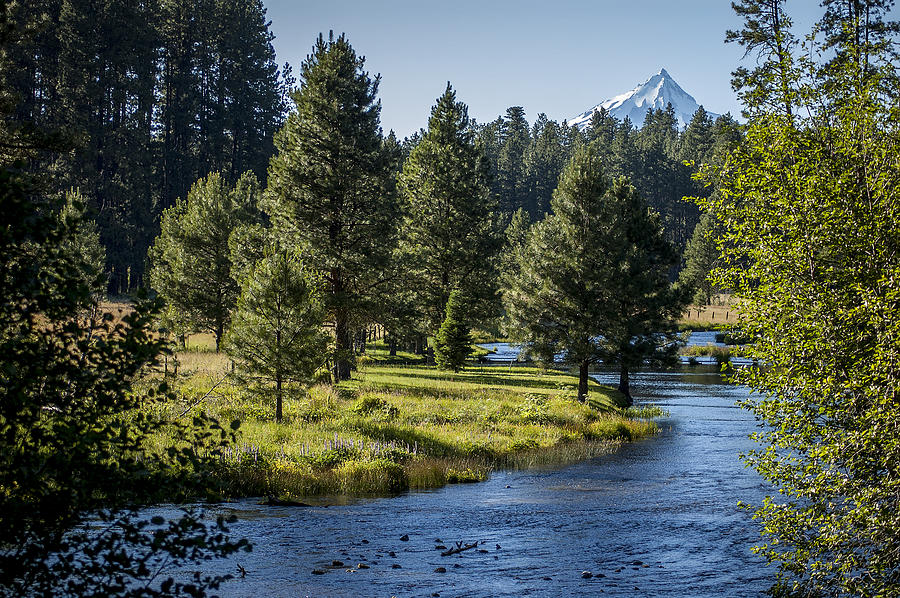 Serene Mountain River Scene Photograph - Metolius Springs Oregon by Mary Lee Dereske