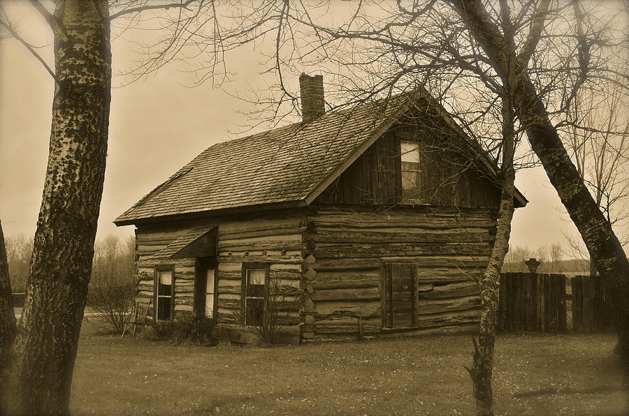Missuakee County Log Cabin Photograph by Steve LItalien