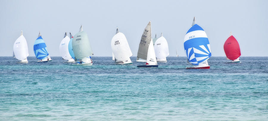 Mondello Race Photograph by Steven Sparks