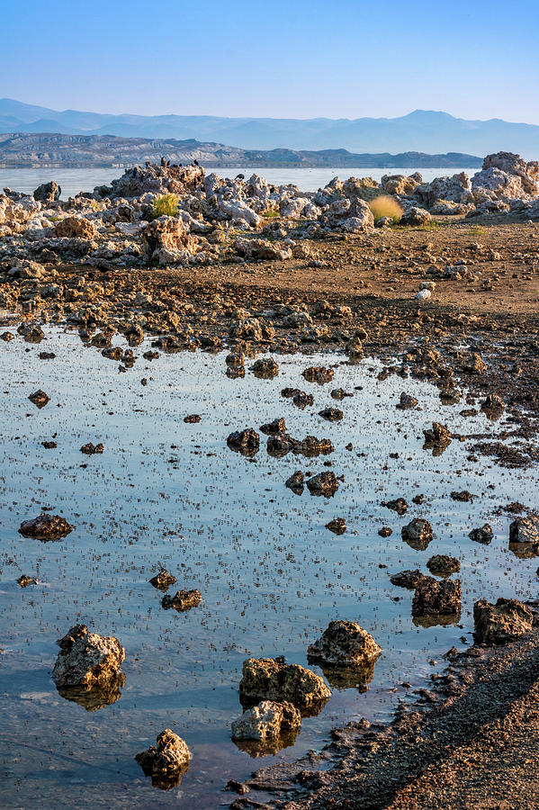 Mono lake in Blue Photograph by Todd Wilkinson