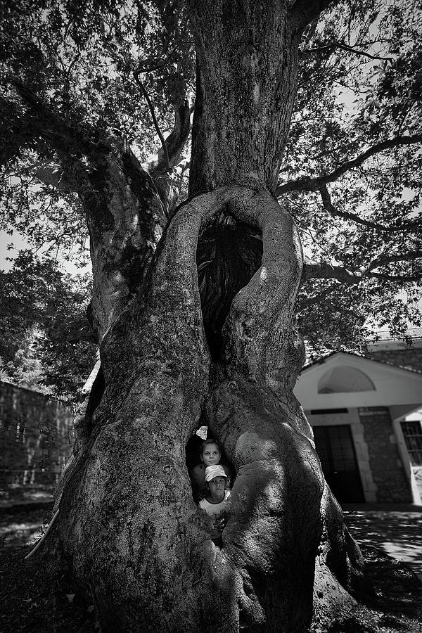 Mother Earth Photograph by Al Poullis