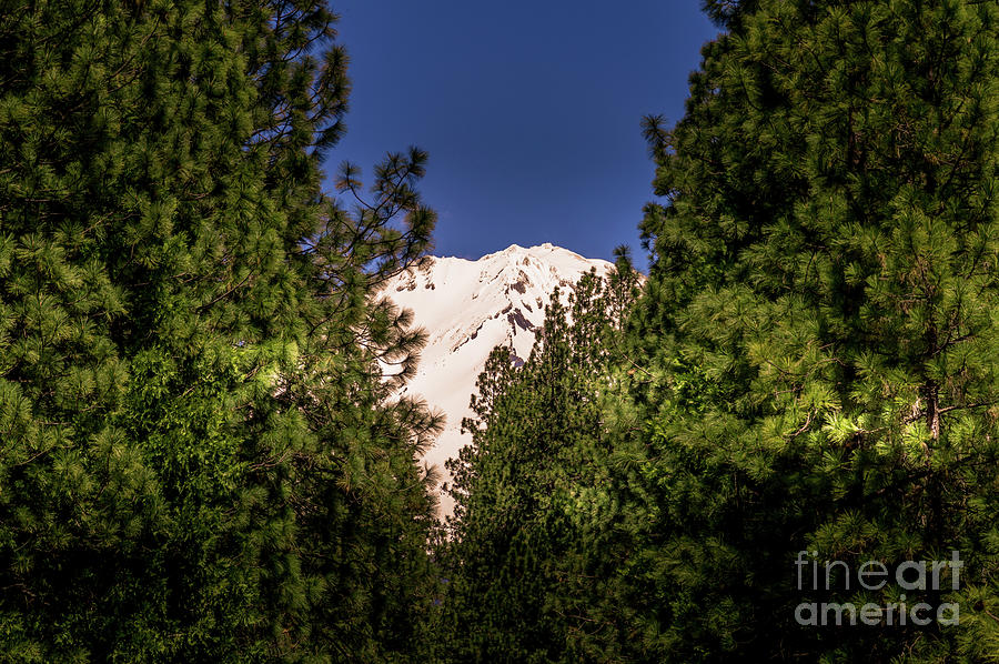 Mount Shasta #2 Photograph by Blake Webster