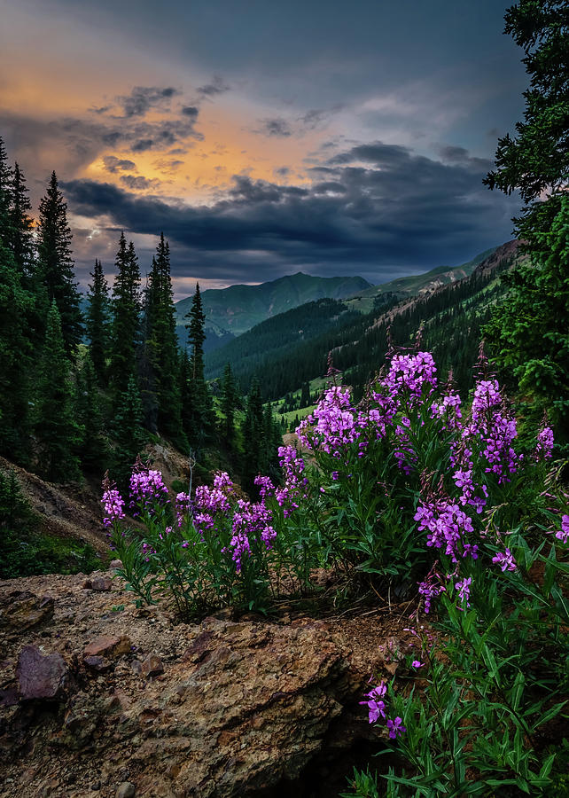 Mountain Sunset Photograph by Jeff Stoddart