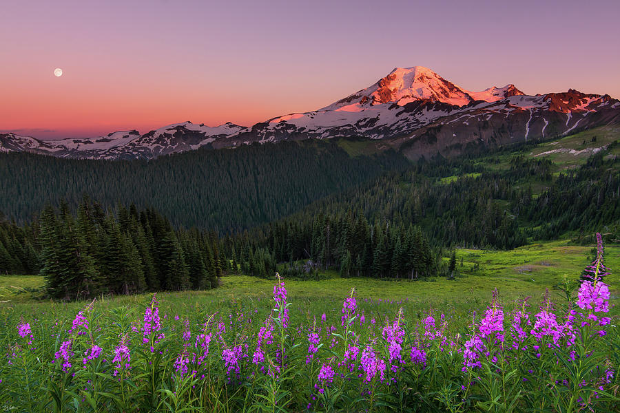 Mt. Baker Sunset Photograph by Russell Wells