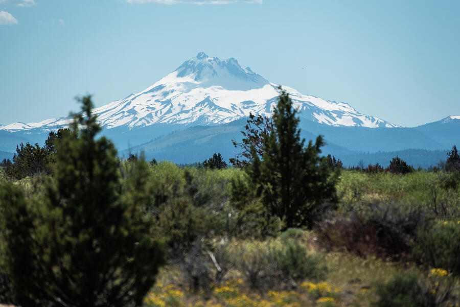 Mt Hood above the High Desert Photograph by Tom Cochran