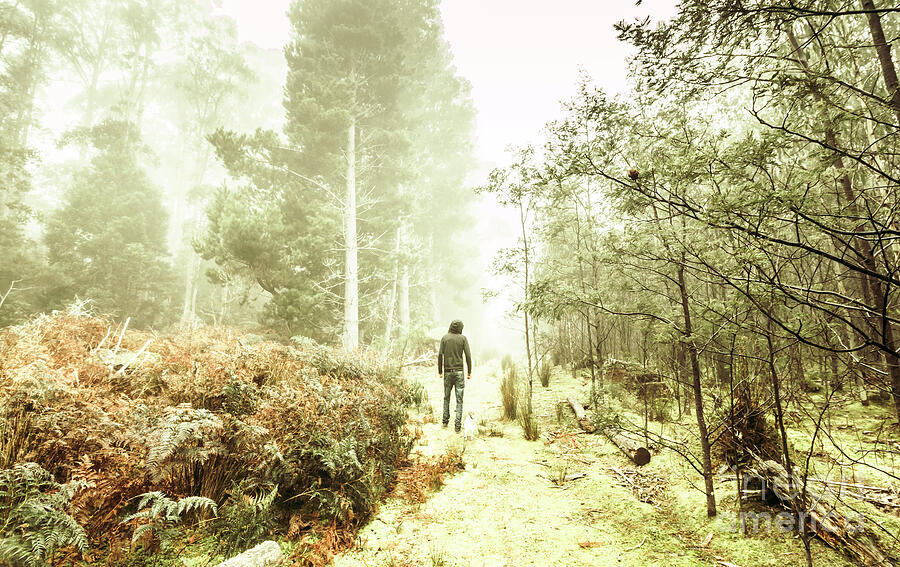 Mysterious trail Photograph by Jorgo Photography