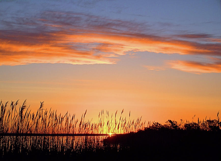 Narrow Bay Sunrise I I Photograph by Robert Newman