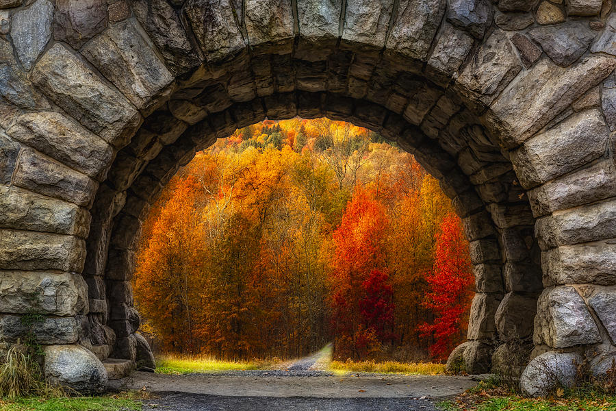 Autumn Trees Through Stone Arch Photograph - Natures Color Schemes by Susan Candelario