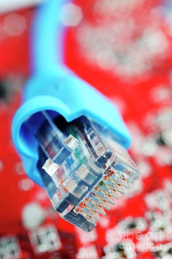 Closeup of Ethernet Cable Photograph - Network Connection Plug by Sami Sarkis Photography