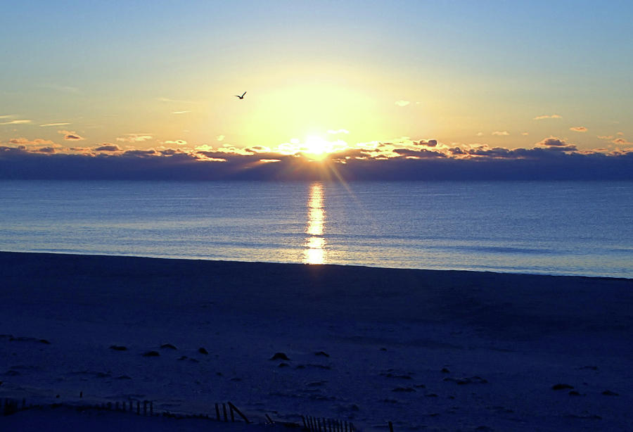 New Day I I Photograph by Robert Newman