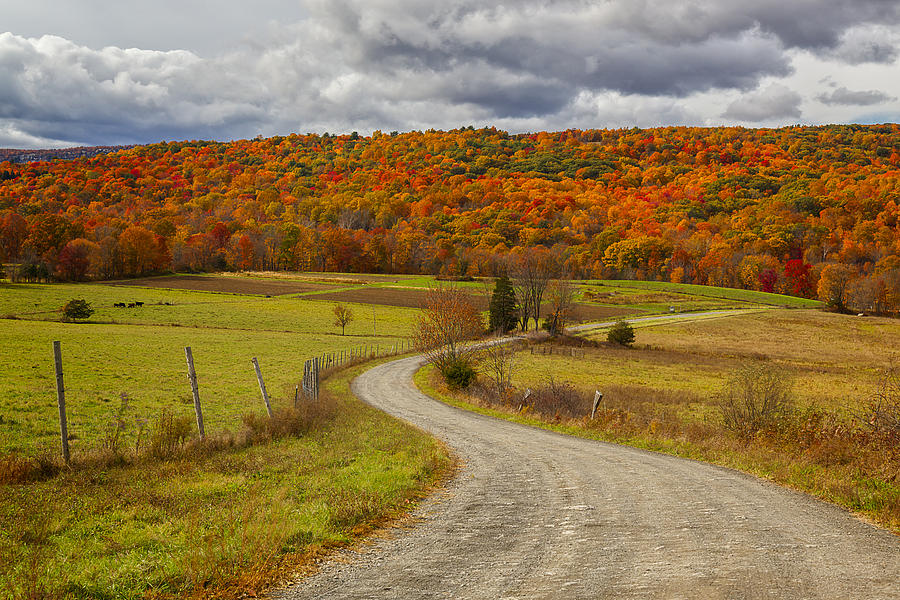 Winding Road Through Autumn Foliage Photograph - New Paltz Hudson Valley NY by Susan Candelario