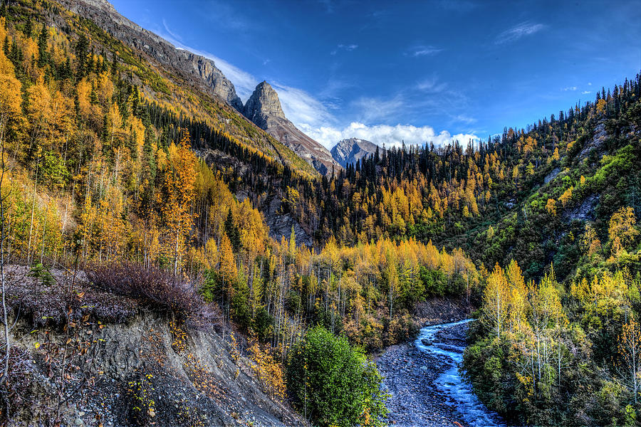 Nicholai Butte 2017 Photograph by Fred Denner