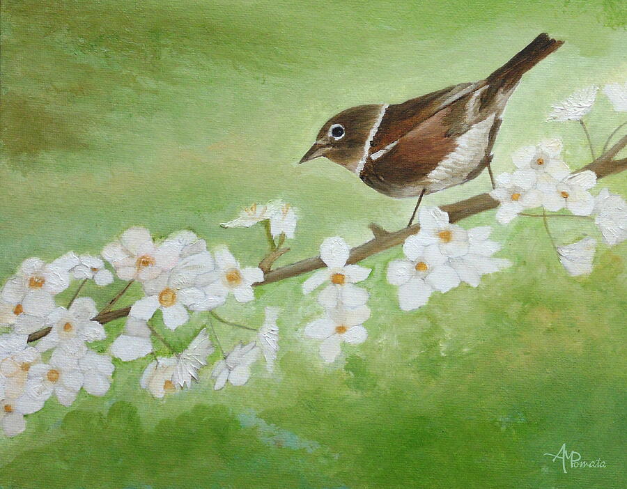 Bird on a Flowering Branch Painting - Nightingale Among Almond Flowers by Angeles M Pomata