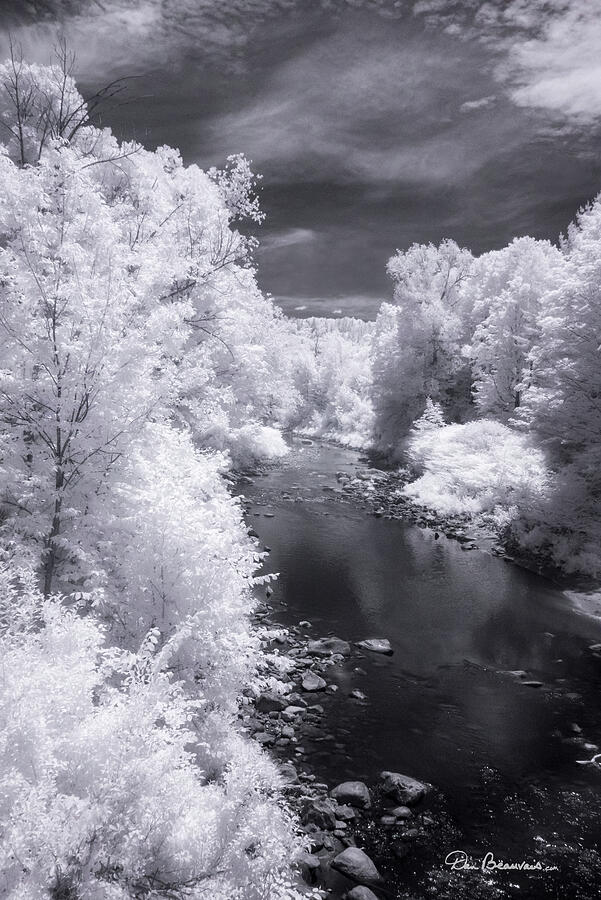 North Branch, Deerfield River 4657 Photograph by Dan Beauvais