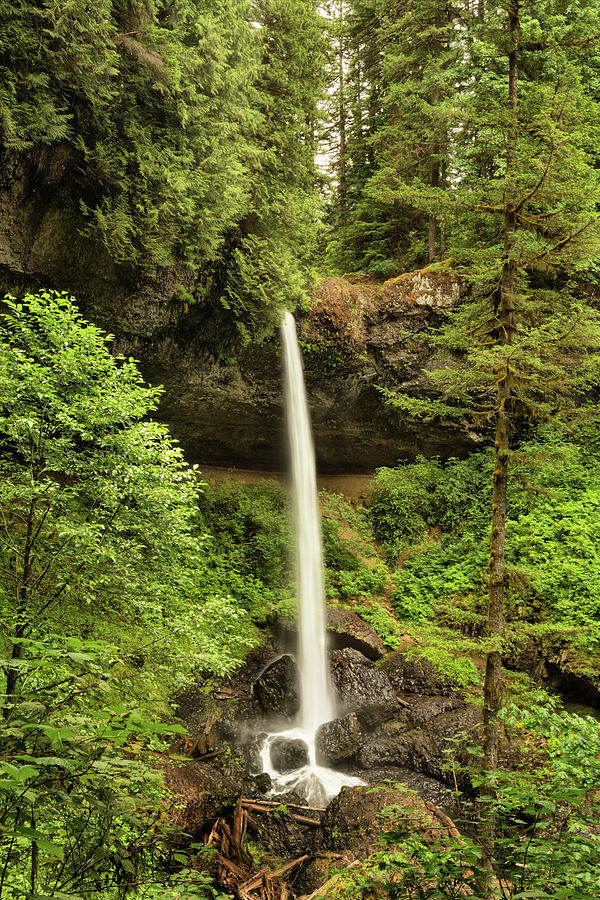 Serene Forest Waterfall Photograph - North Silver Falls by Mary Jo Allen
