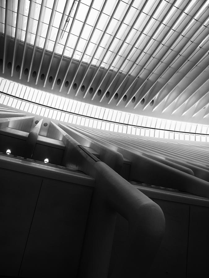 Oculus Abstract Photograph by Jessica Jenney