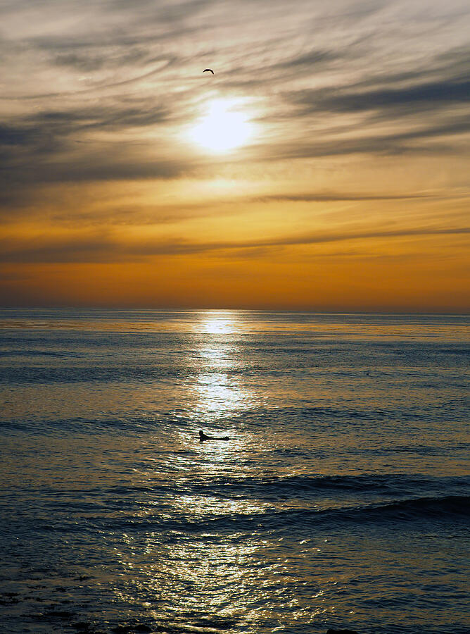 One Left Photograph by Joe Schofield