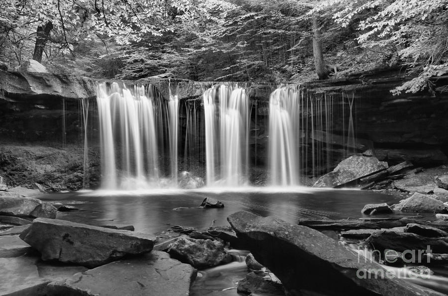 Serene Forest Waterfall Photograph - Oneida Falls Black And White by Adam Jewell