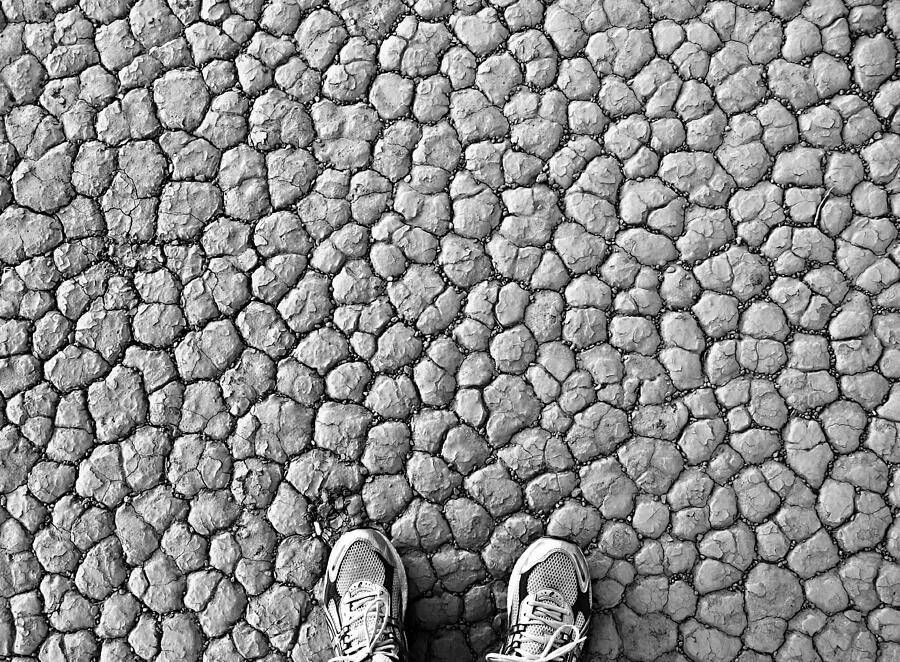 Parched . The New California Photograph by Joe Schofield