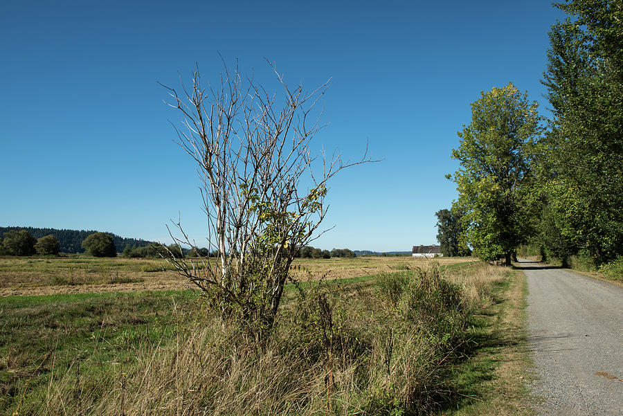 Path to Twin Barns Photograph by Tom Cochran