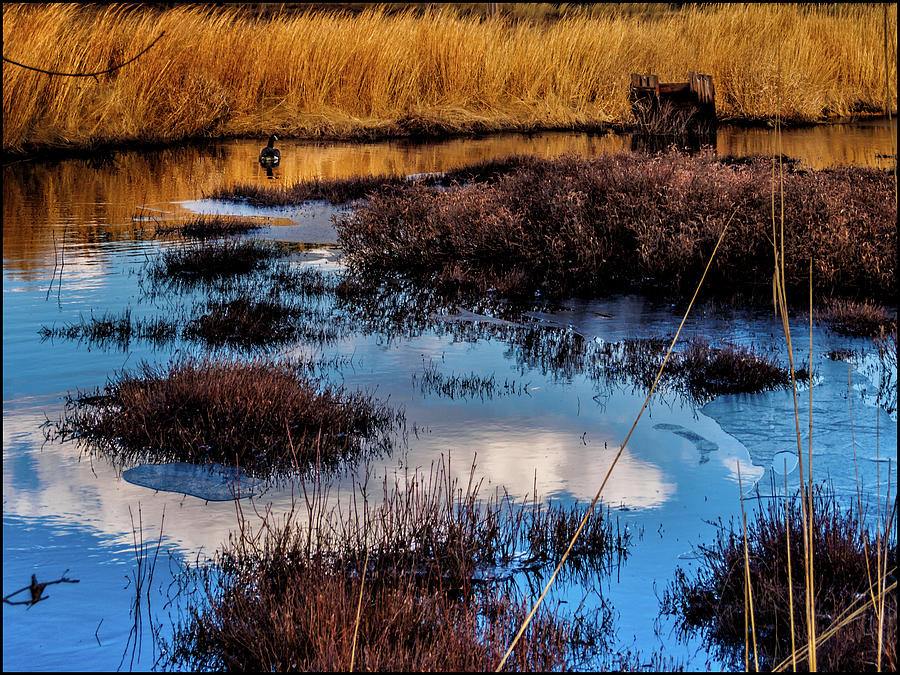 Pineland Cloud Reflections Photograph by Louis Dallara