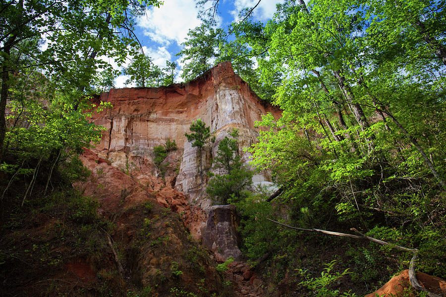 Providence Canyon 3 Photograph by Kenny Thomas